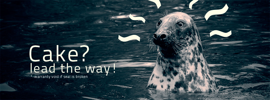 ddos攻击在哪能买到